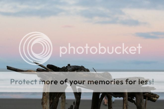 photo driftwood by sea_zpsbuvvizum.jpg