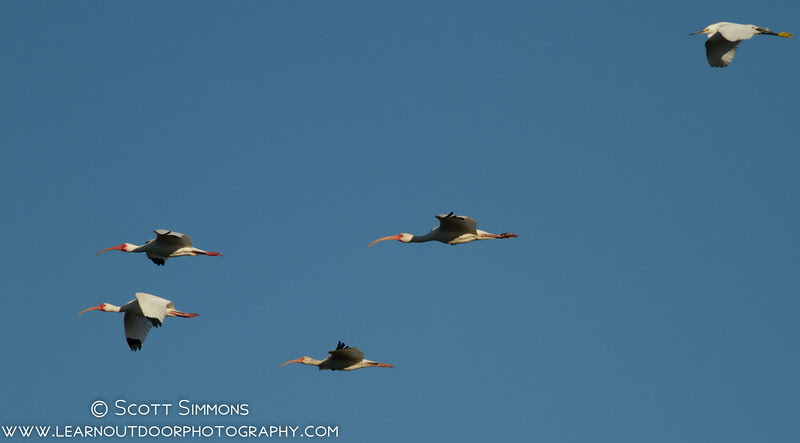 Photo & Video Sharing by SmugMug Photo & Video Sharing by SmugMug