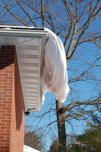 nemo_Franklin_FHA2