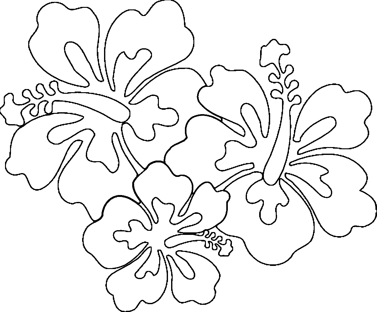 Coloring Page Hawaiian Flower  147+ SVG Images File