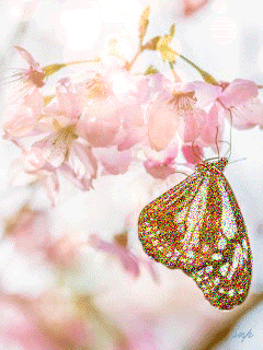 Красивая бабочка на цветке