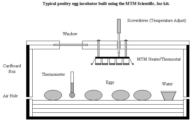 Buy How to make portable egg incubator | Incumaker