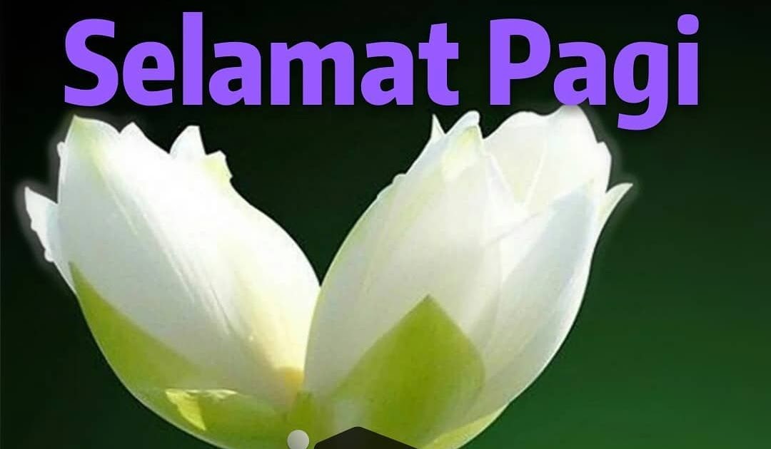 Selamat Pagi Dengan Gambar PAGI CUACA