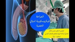 تكلفة عملية دوالي الخصية في الحبيب Simmxi