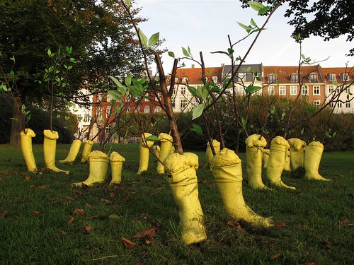 The boot forest