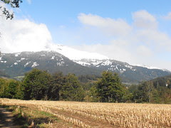 PA090450