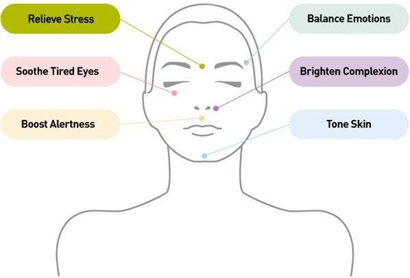Pressure Points In Face Massage - SELF DEVELOPMENT INSTITUTE