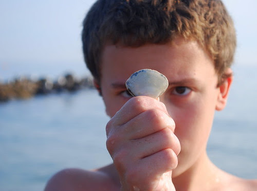Evan seashell