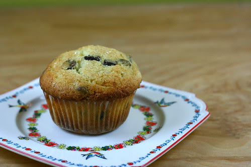 chocolate chip muffin
