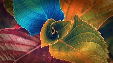 Pics Hd Wallpapers Pics Hd Wallpapers