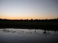 Free Image Hosting at www.ImageShack.us