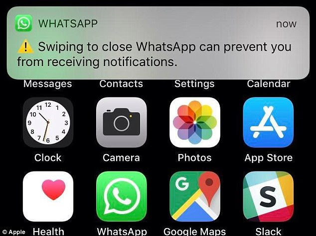 Why you should NEVER close down WhatsApp on your iPhone by swiping up: iOS 11 bug means the app will stop showing you notifications  