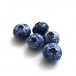 blueberry1