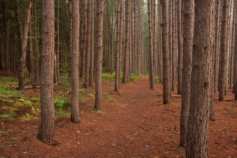 Photo & Video Sharing by SmugMug Photo & Video Sharing by SmugMug