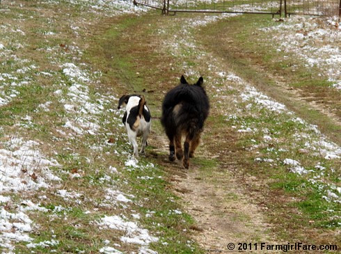 Bert and Bear snow day play 17 - FarmgirlFare.com