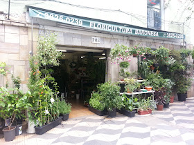 Floricultura Baronesa