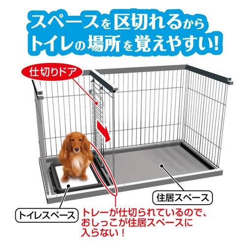 子犬 トイレ ケージ から 出す と 失敗