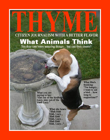 thyme0232