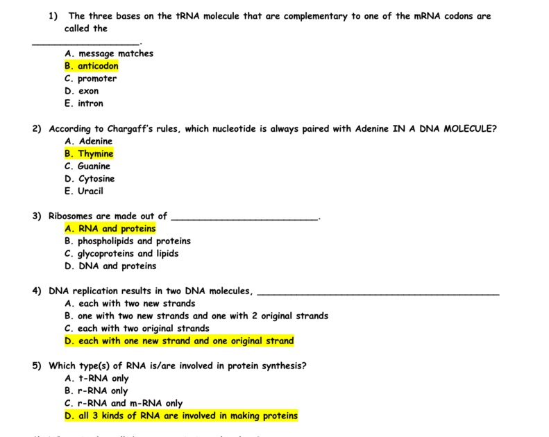 protein-synthesis-worksheet-answers-thinking-questions-greenica