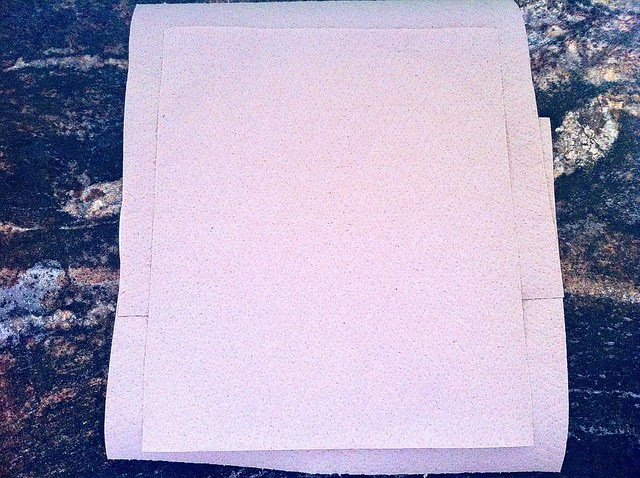Plate Lined with Recycled Paper Towels