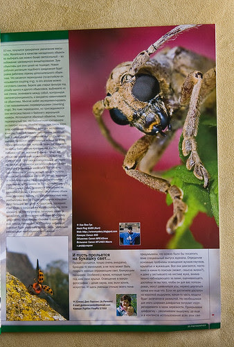 longhorn beetle on the front cover of Ukrainian Photographer MagazineIMG_5504 copy
