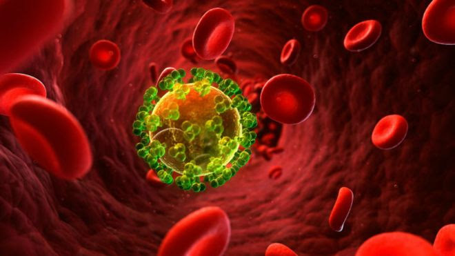 Célula infectada de HIV (foto:SPL)