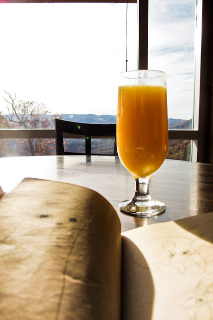 Mimosa morning
