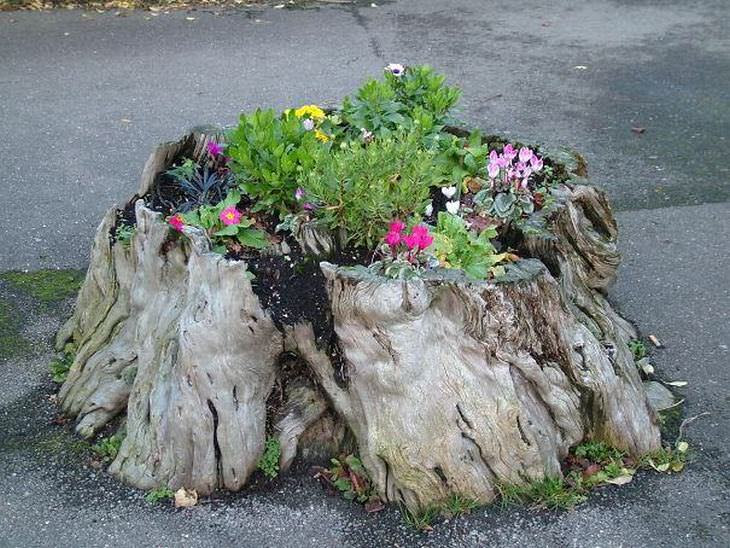 Lindas Floreiras de Tocos de Árvores