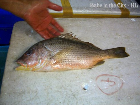 Our red snapper (hoong joe)