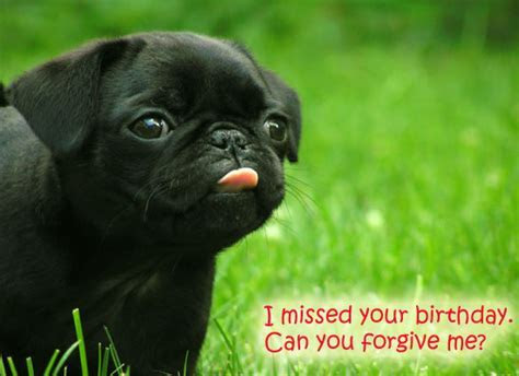 Oops! Sorry, I Forgot. Free Belated Birthday Wishes eCards Oops! Sorry, I Forgot. Free Belated Birthday Wishes eCards