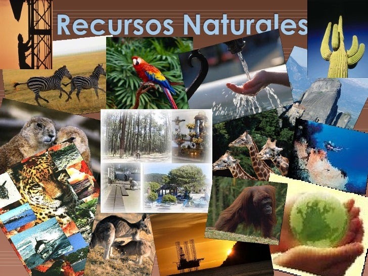 Ecologia Recursos Naturales
