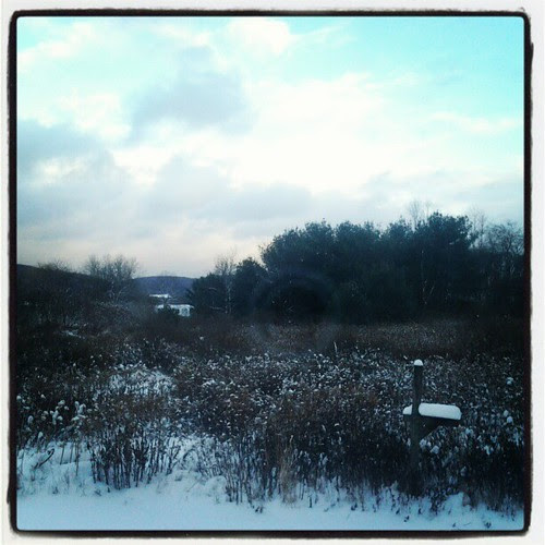 Southern Tier in winter, again