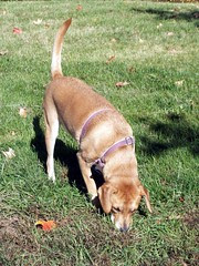 Sophie_102008