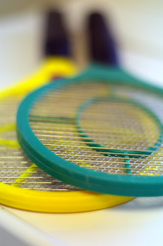 fly killer photoed with Pentax FA 50 f/1.4