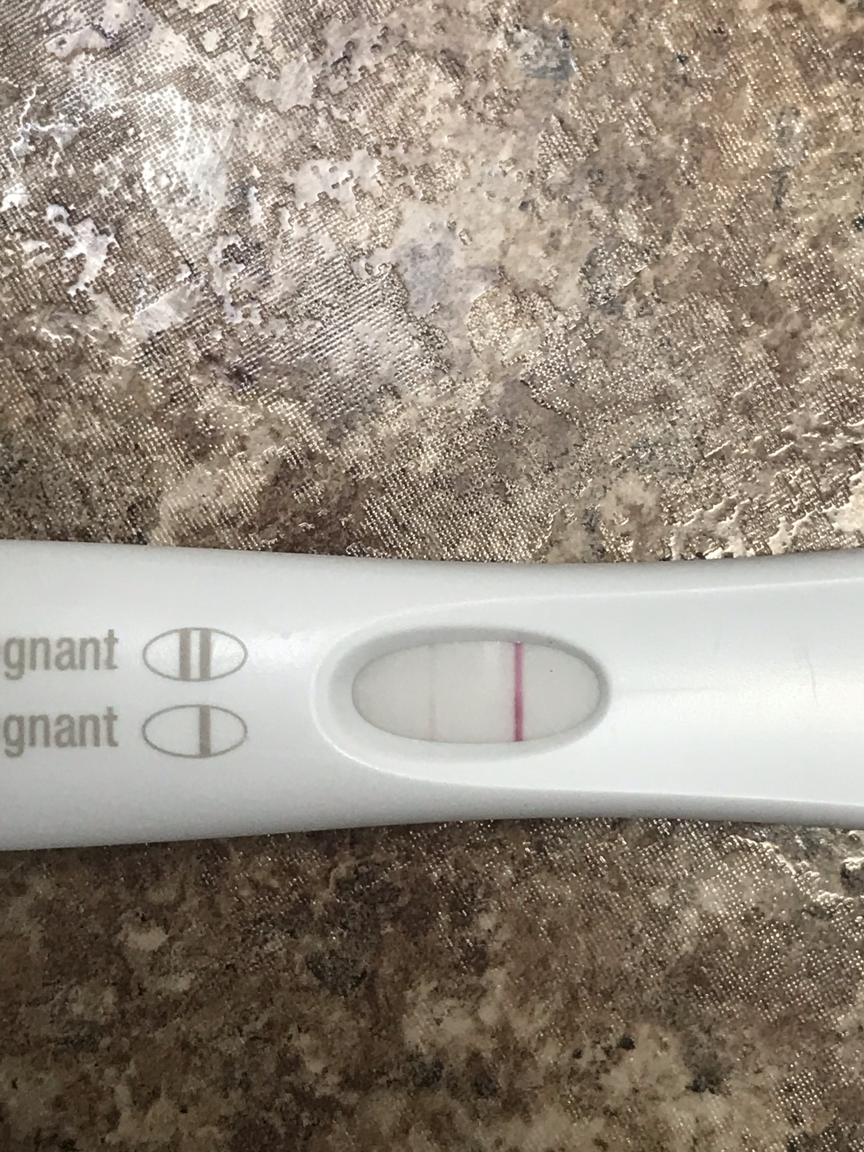Pregnancy Test After Miscarriage 6 Weeks Pregnancy Test