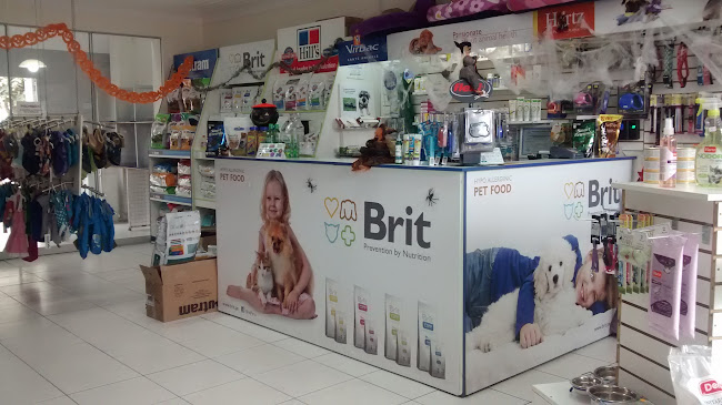 Clinica Veterinaria Groomers Sede Juan de Aliaga - Magdalena del Mar