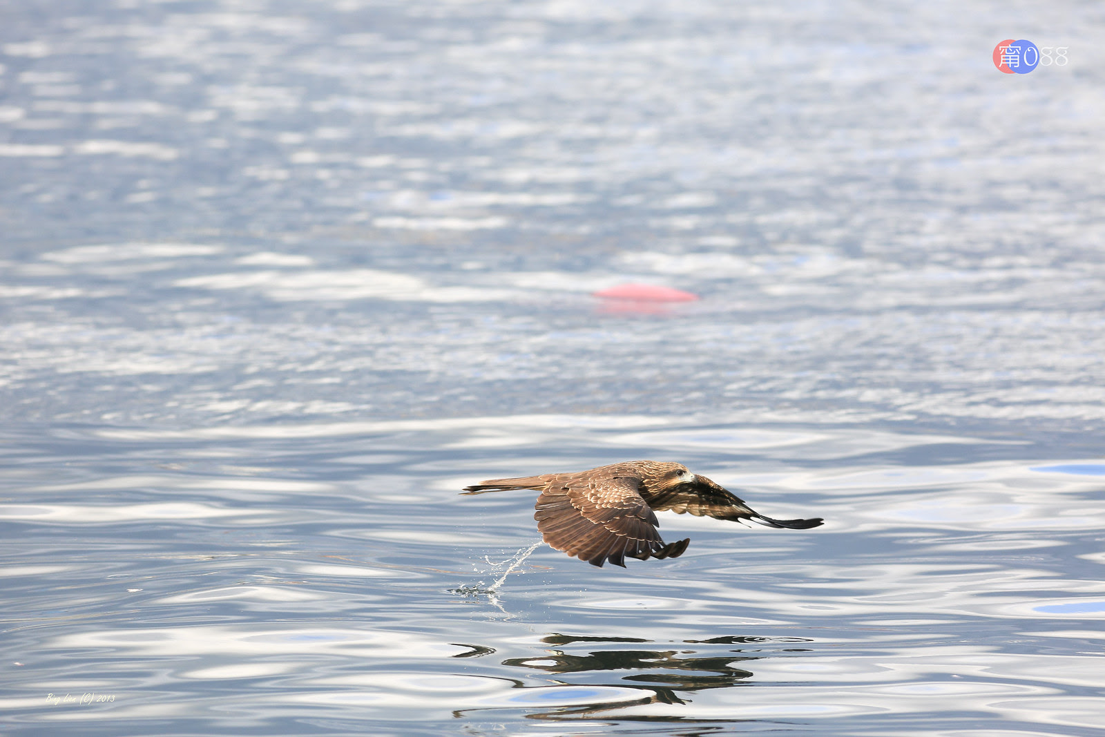 WATER_BING6833_LR