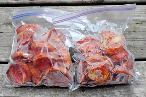Two freezer bags of oven roasted tomatoes by Eve Fox, Garden of Eating blog, copyright 2011