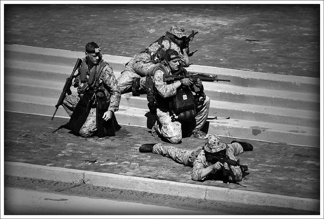 Marine Week 16