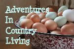 Adventures in Country Living at Shalom Engedi Farm: Monkey Butter