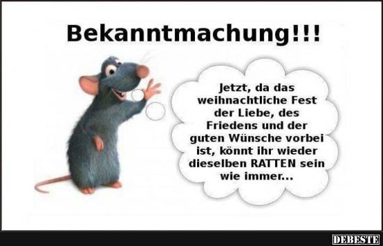 Lustige Bilder Renovierung