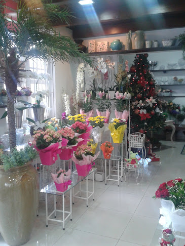 Avaliações sobre Florânia Flores e Decorações Ltda em Salvador - Floricultura