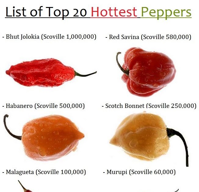 List of Top 20 Hottest Peppers