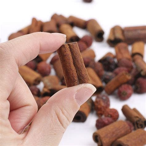 Rosehips and Cinnamon Sticks Potpourri Fixin's and Rosehips and Cinnamon Sticks Potpourri Fixin's and