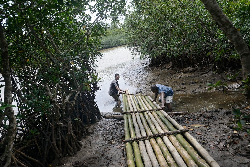 Climate-Fiji-slide-YO5S-jumbo.jpg