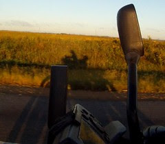 chasing my shadow