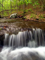 Below the Grotto