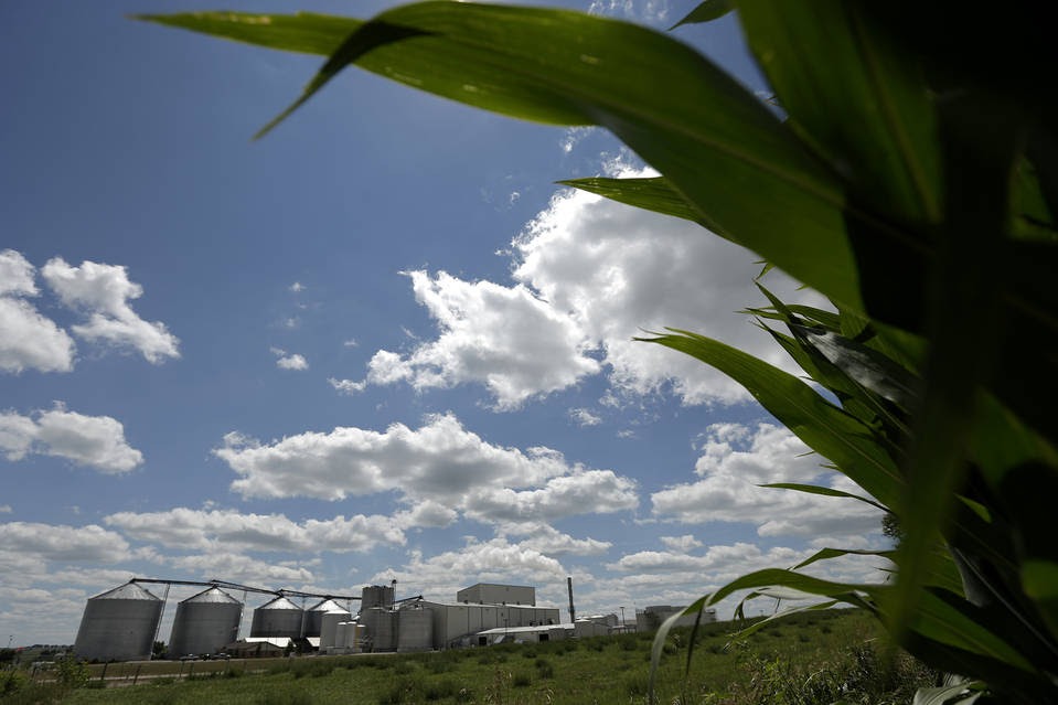 An ethanol facility beside a cornfield near Coon Rapids, Iowa.