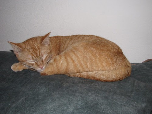 Clementine