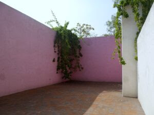 barragan 19 patio casa barragan